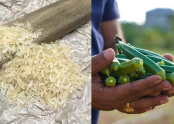 Coming To America: A Soul Food Journey From Africa